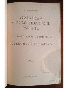 GRANDEZA Y FRAGILIDAD DEL ESPÍRITU 2