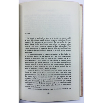 MODERNISMO Y VANGUARDIA. COORDENADAS DE LA LITERATURA HISPANOAMERICANA DEL SIGLO XX