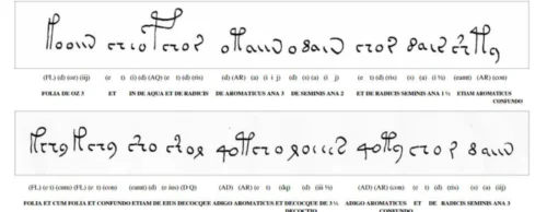 Manuscrito Voynich