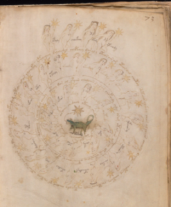 Manuscrito Voynich