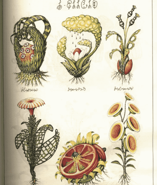 Codex Seraphinianus