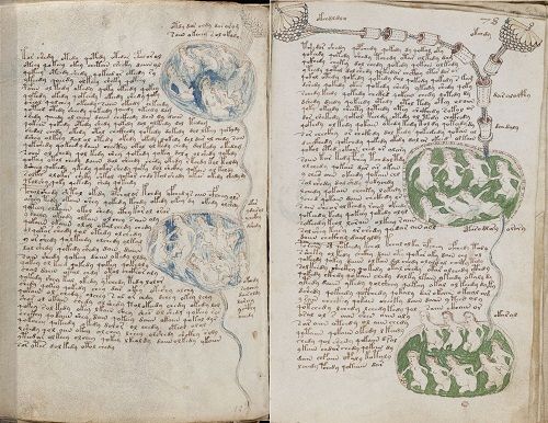 Manuscrito Voynich