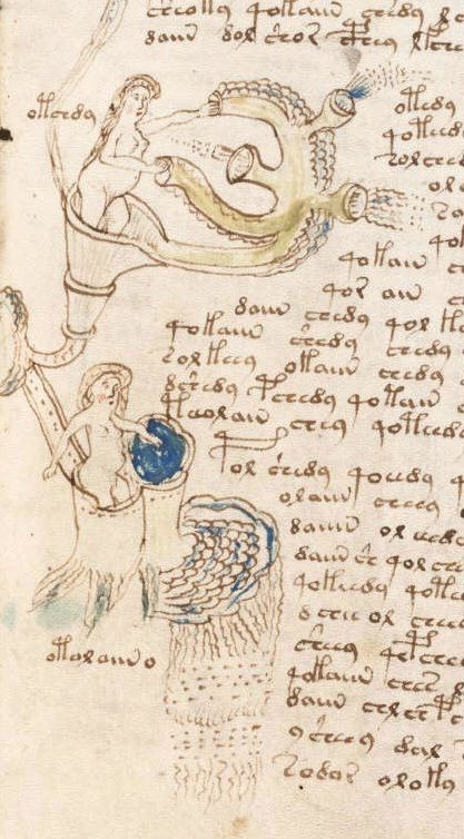 Manuscrito Voynich