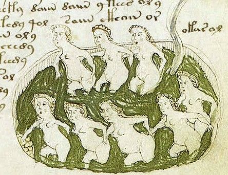 Manuscrito Voynich