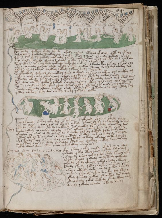 Manuscrito Voynich