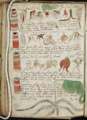 Manuscrito Voynich