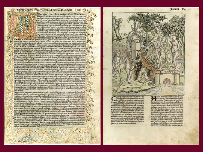 Liber chronicarum coloreado