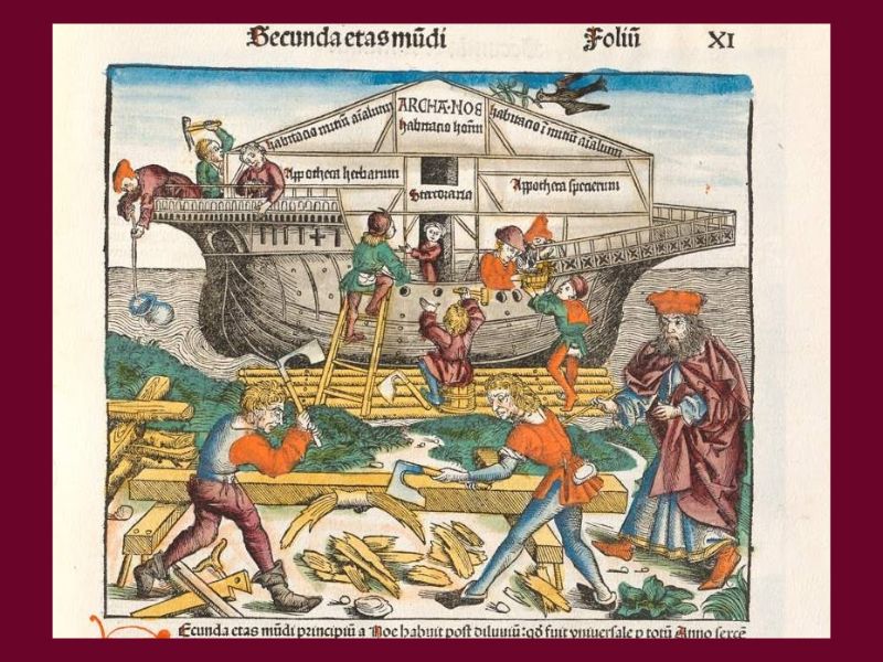 Arca de Noé Liber Chronicarum