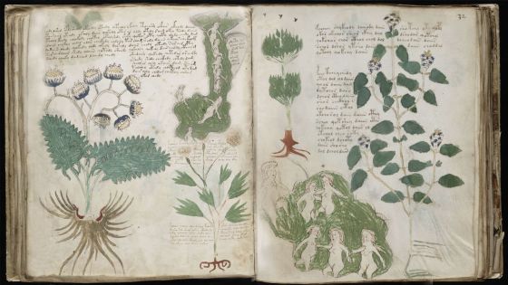 Manuscrito Voynich