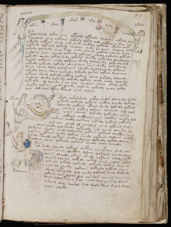 Manuscrito Voynich