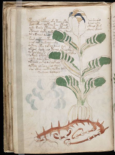Manuscrito Voynich